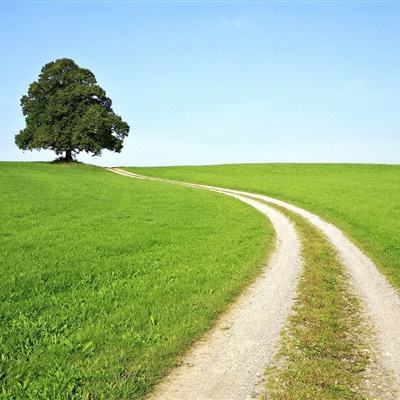 开元ky7818老版本下载手机版