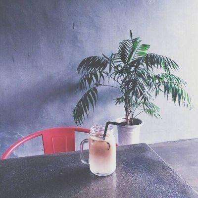 星空线上官网手机app下载