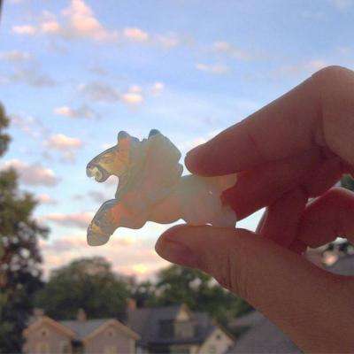 云开平台app最新版手机app下载截图